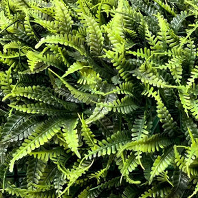 20 placa de samambaia cheia 40x60 Jardim Vertical Artificial Premium Noogs Muro Ingles Resistente Area Interna Externa Com Proteção UV Marca Noogs